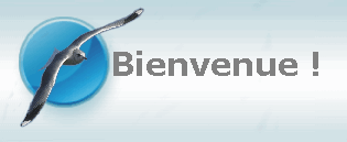 Bienvenue !