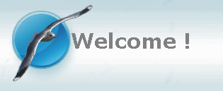 Welcome !