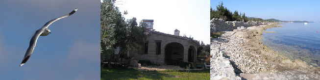 villa 2 villa 2