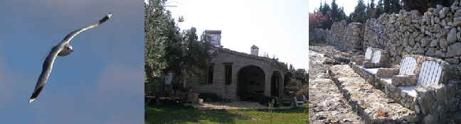 villa 3
